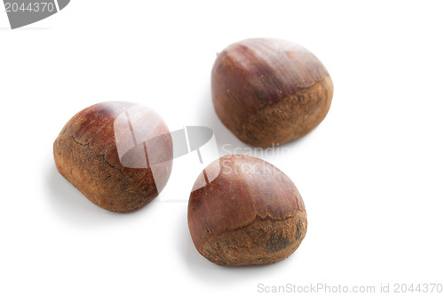 Image of chesnuts on white background