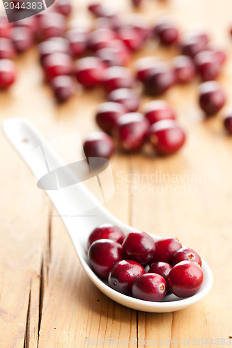 Image of fresh cranberries