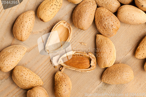 Image of almonds in nutshell