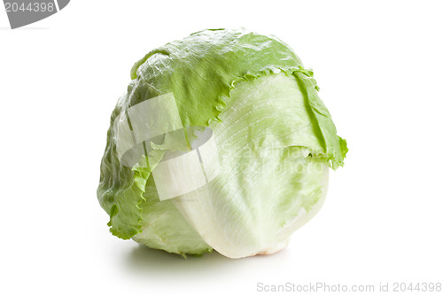 Image of green lettuce