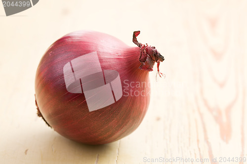 Image of red onion in kitchen
