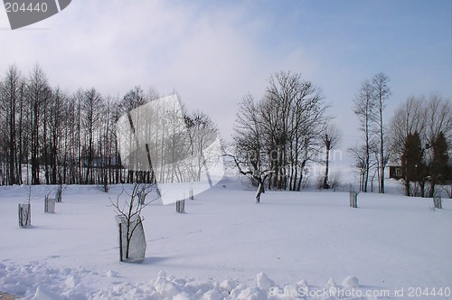 Image of Winter