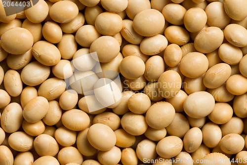 Image of soya beans background