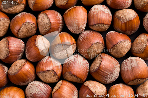 Image of hazelnuts background