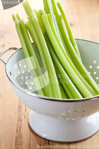 Image of green celery sticks in colander