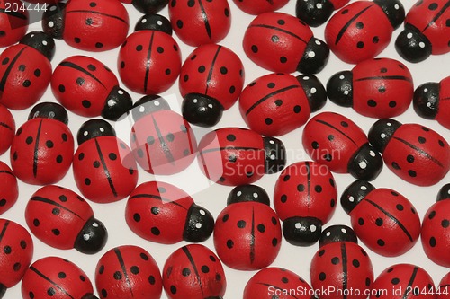 Image of Ladybugs