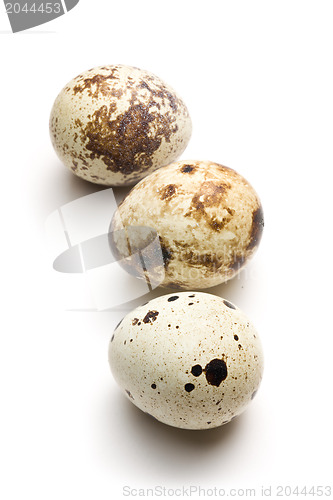 Image of quail eggs on white background