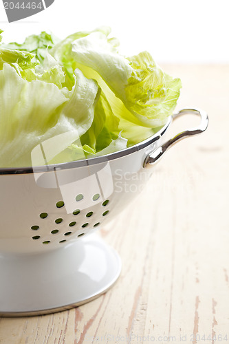 Image of green lettuce in colander