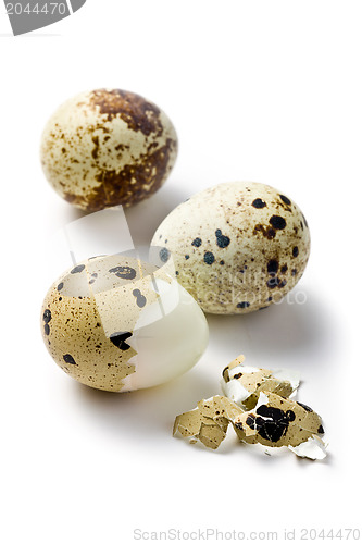 Image of boiled quail eggs