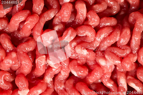 Image of detail of raw minced meat