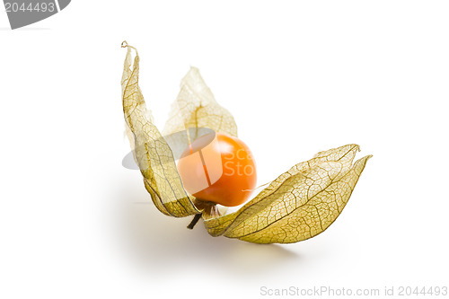 Image of physalis fruit