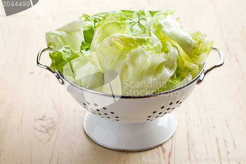 Image of green lettuce in colander