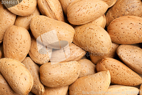 Image of almonds in nutshell