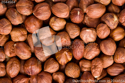 Image of hazelnuts background