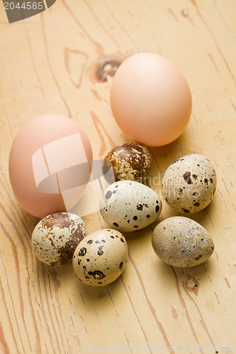 Image of chicken and quail eggs on white background