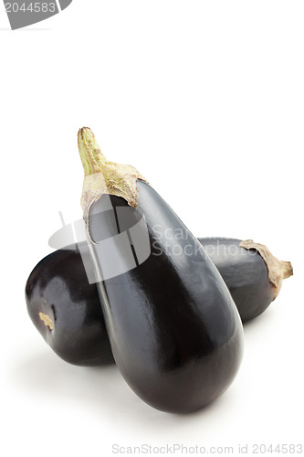 Image of two eggplants on white background