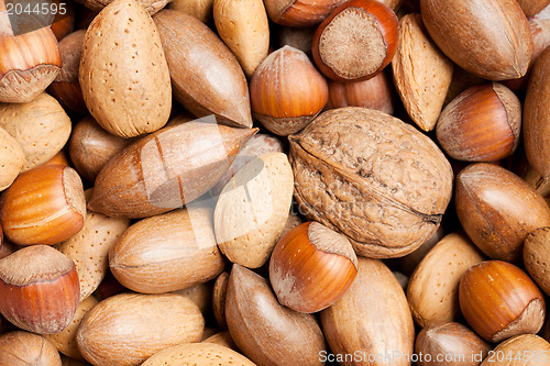 Image of various nuts