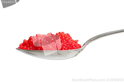 Image of red caviar in spoon