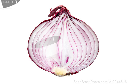 Image of sliced red onion