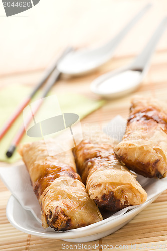 Image of spring rolls