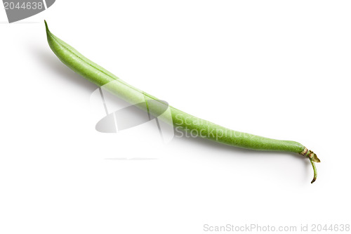 Image of bean pod