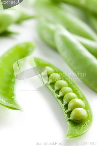 Image of green peas pods