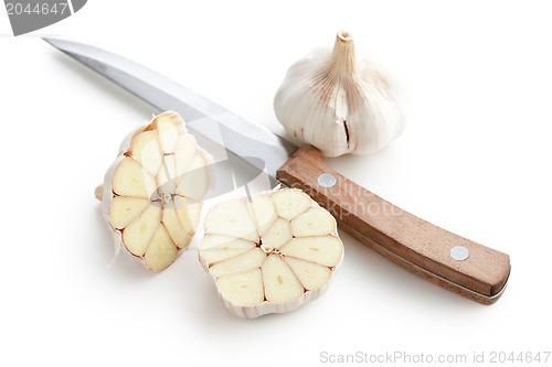 Image of fresh garlic on white background
