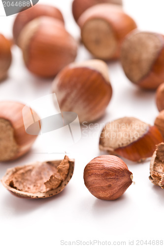 Image of hazelnuts