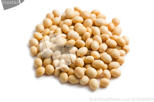 Image of soya beans on white background