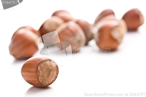 Image of hazelnuts