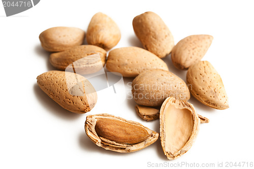 Image of almonds in nutshell