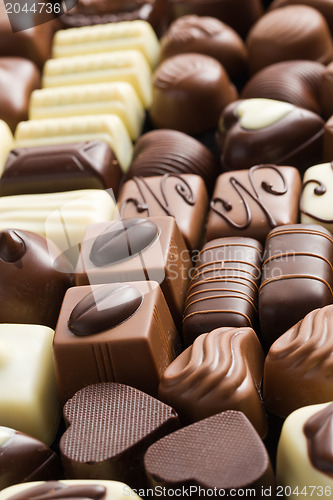 Image of various chocolate pralines