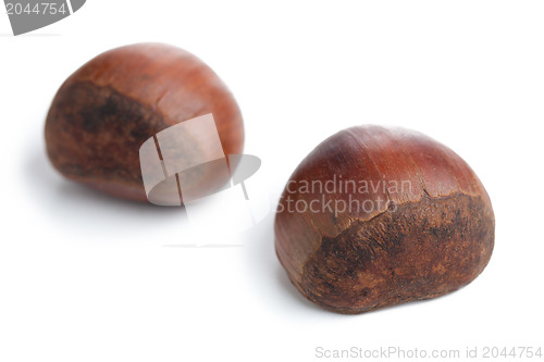 Image of chesnuts on white background