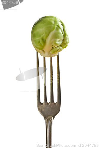 Image of brussels sprouts