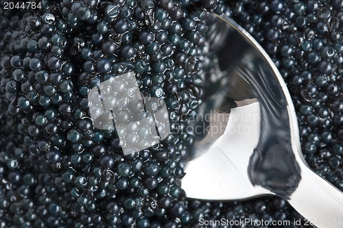 Image of closeup of black caviar