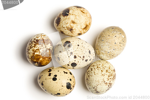Image of quail eggs on white background