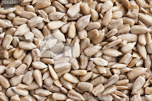 Image of sunflower seeds