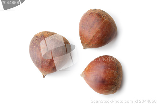 Image of chesnuts on white background