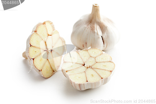 Image of fresh garlic on white background