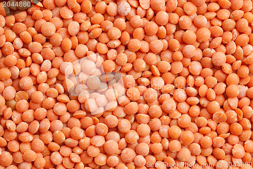 Image of red lentils background