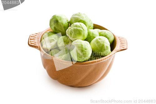 Image of brussels sprouts in bowl
