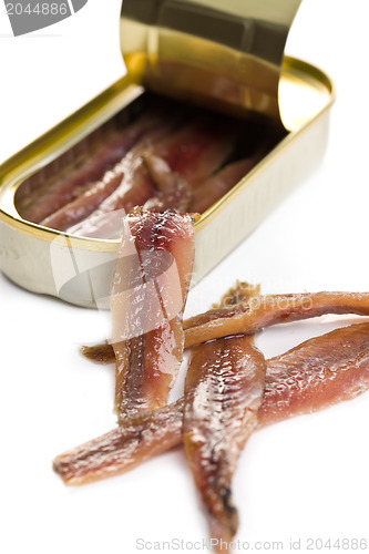 Image of anchovies fillets in tin can