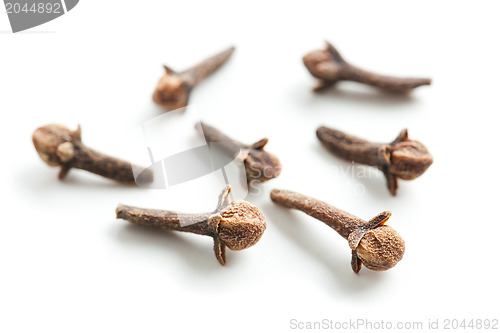 Image of cloves on white background