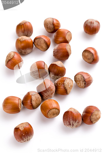 Image of hazelnuts on white background