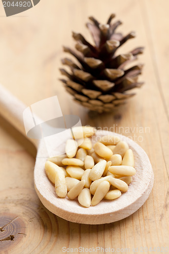 Image of the pine nuts