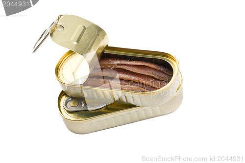 Image of anchovies fillets in tin can