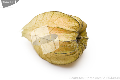 Image of physalis fruit