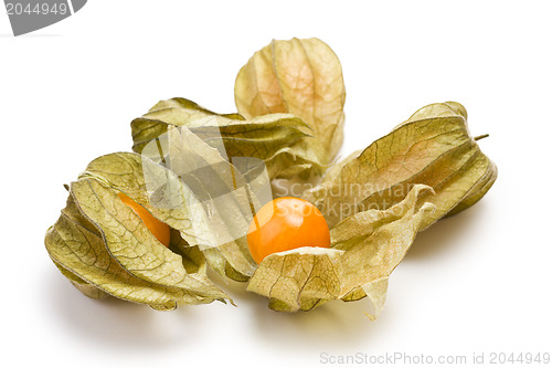 Image of physalis fruit