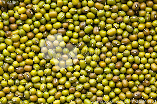 Image of mung beans