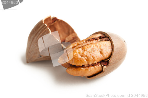 Image of pecan nuts